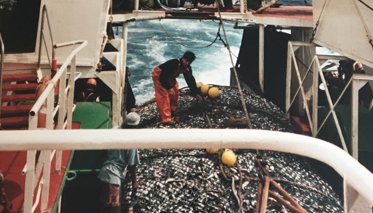 Premier port
international : le
marché français