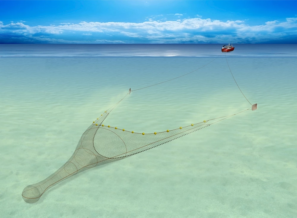 4-demersal-trawl.jpg