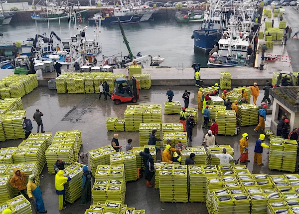 cajas.jpg